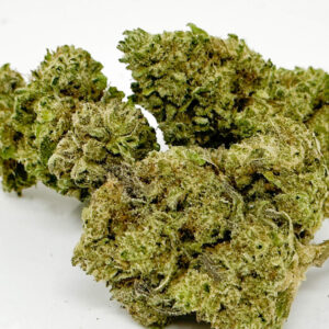 Truffle Indoor Hydro